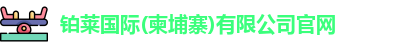 铂莱国际